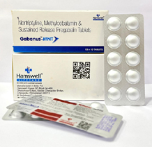  pharma franchise pcd in gujarat hamswell lifecare -	tab gaba.jpeg	